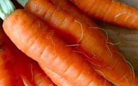 Top 10 thực phẩm giúp hàm răng chắc khỏe