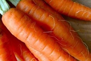 Top 10 thực phẩm giúp hàm răng chắc khỏe